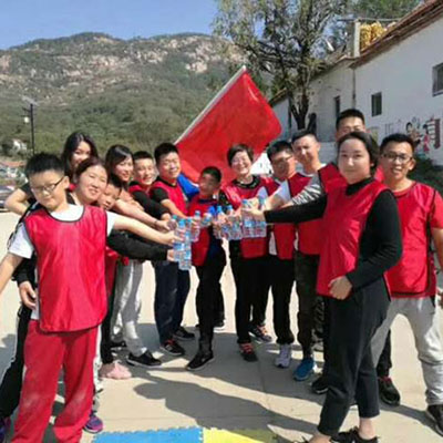 熱烈祝賀淄博市臨淄德匯隆商貿(mào)有限公司網(wǎng)站建立！
